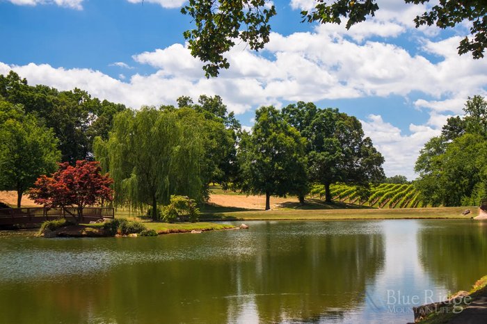 Shelton Vineyards Yadkin Valley's best wineries