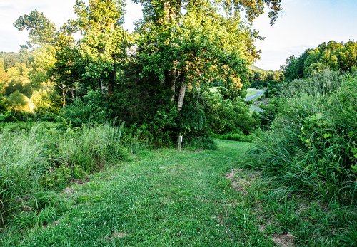 Pilot Creek Meadow Walk and Butterfly Trail Surry County NC.jpg