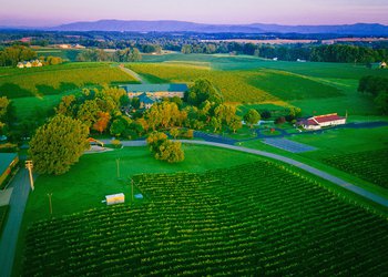 Shelton Vineyards