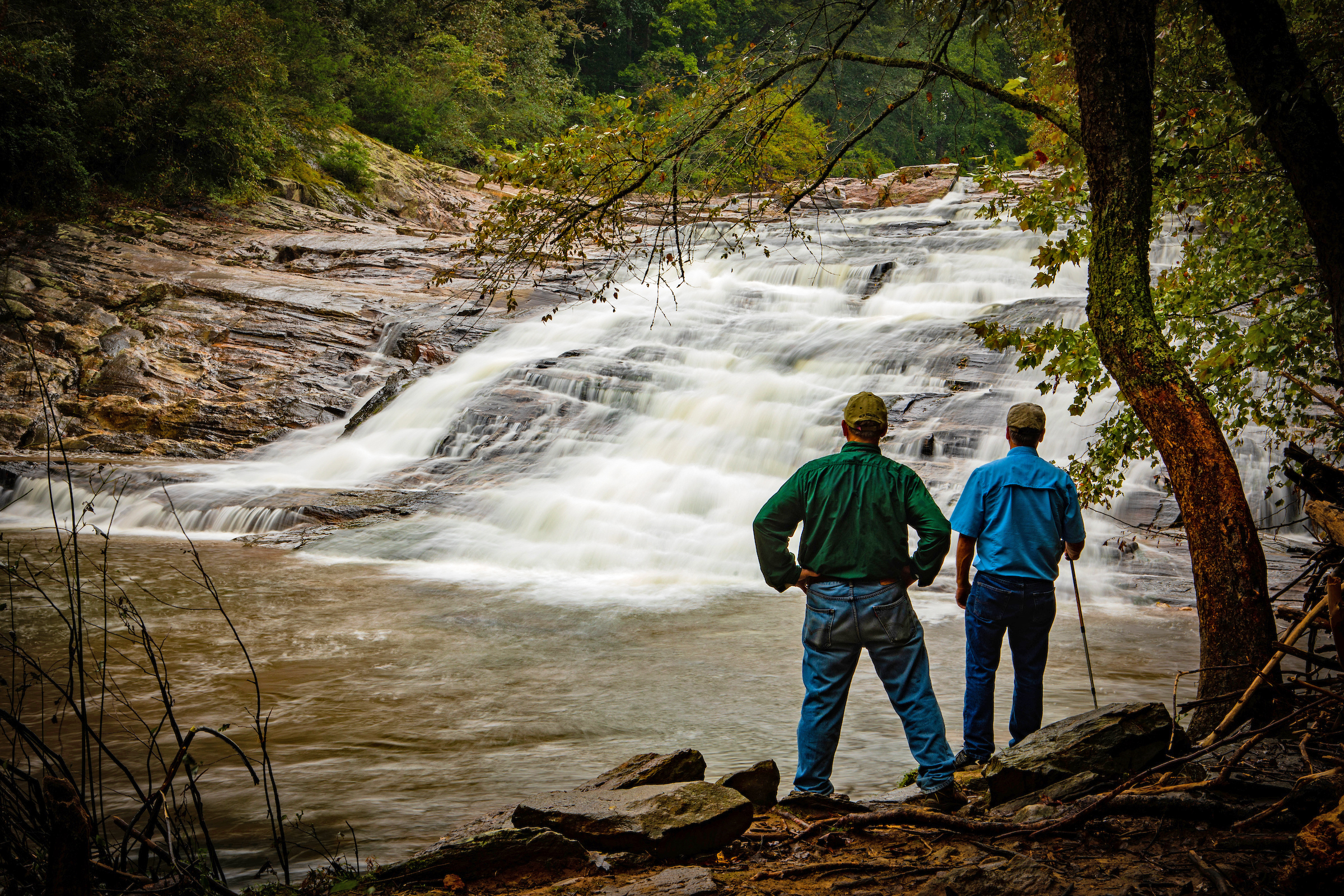 Carter Falls Trail Hike - Yadkin Valley, NC