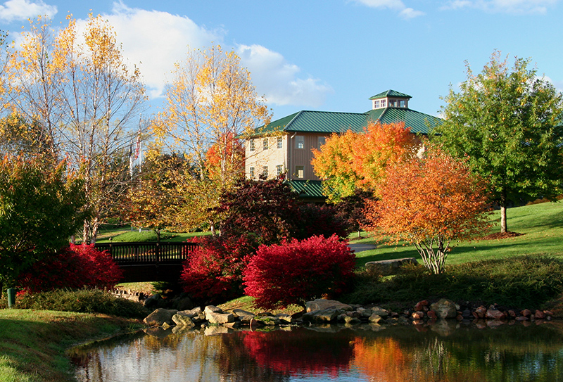 Pair Yadkin Valley Wines with Fall Color this Autumn - Yadkin Valley, NC